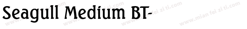 Seagull Medium BT字体转换